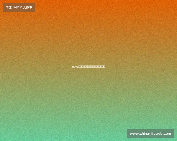 nova电子竞技俱乐部申请电子竞技俱乐部报名